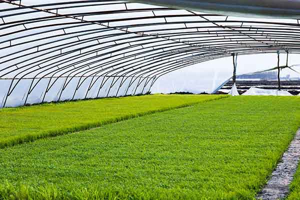 智慧农业温室大棚环境监测方案