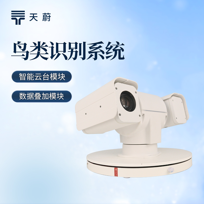 告别人工回看视频，鸟类识别系统自动统计鸟类数量